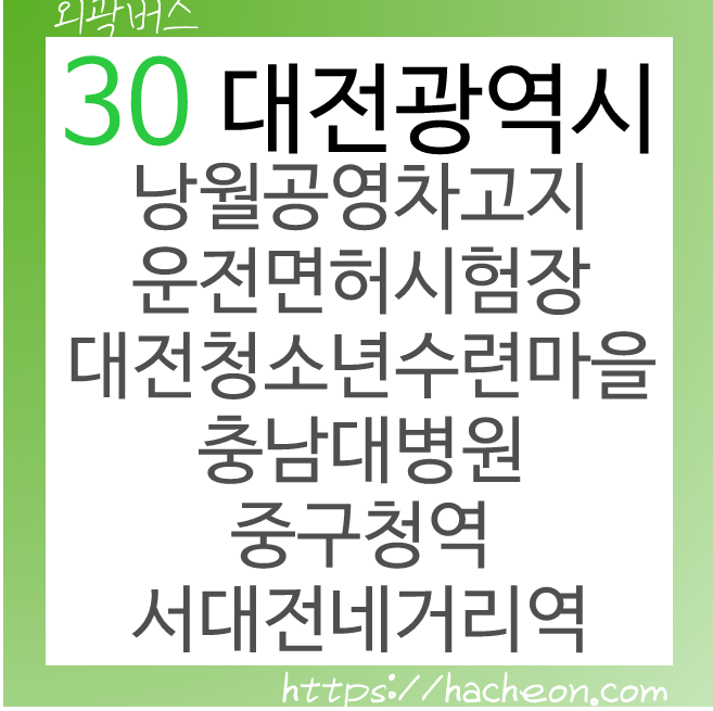 30번 버스 (대전광역시)