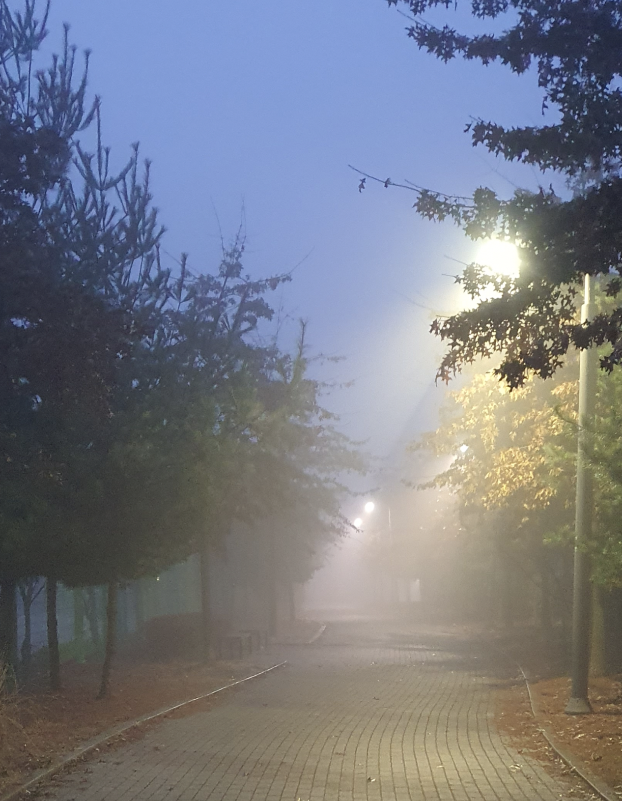 원루프제주 워케이션을 다녀와서 - 8