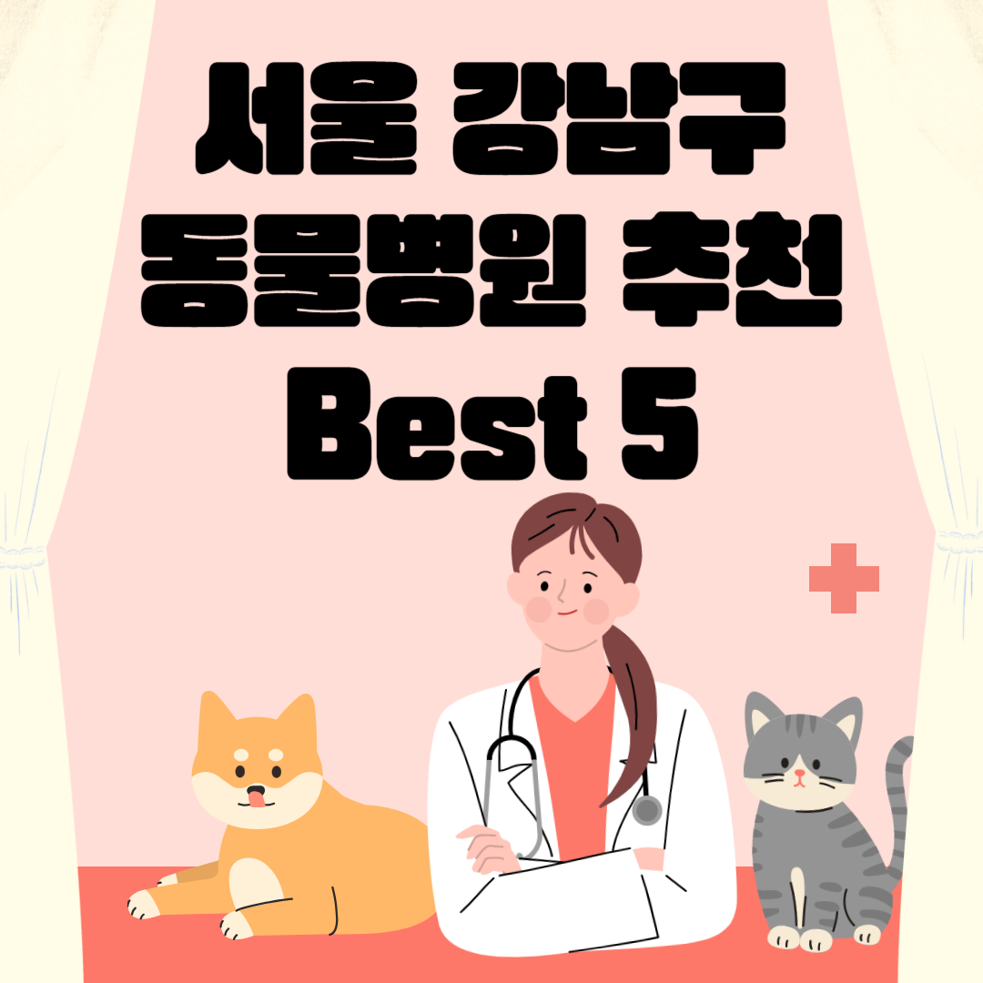 서울 강남구 동물병원 추천 Best 5 ㅣ24시간 동물병원ㅣ비용ㅣ반려동물 의료비 지원 50만원 블로그 썸내일 사진