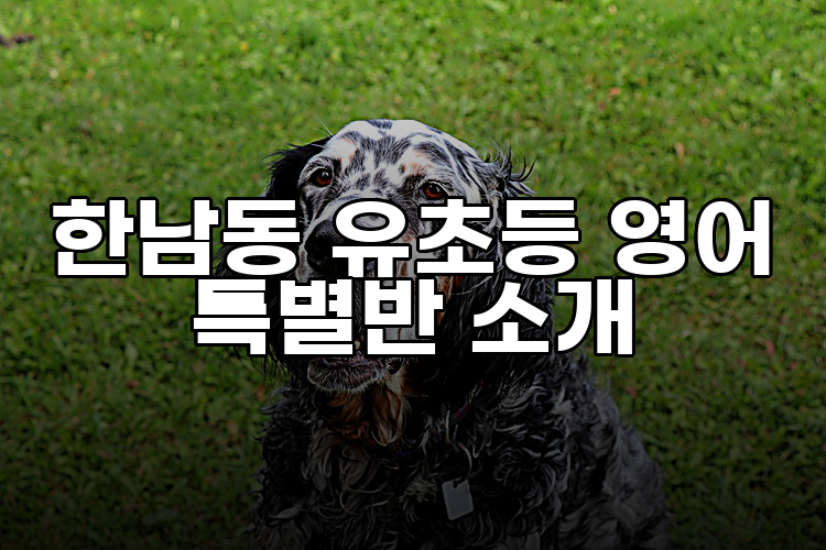 지니어스애비뉴파크 이미지