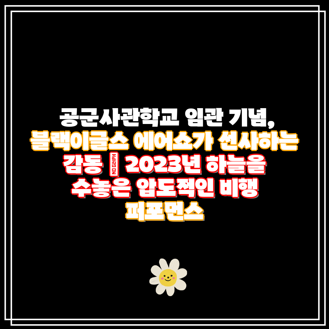 공군사관학교 임관 기념, 블랙이글스 에어쇼가 선사하는