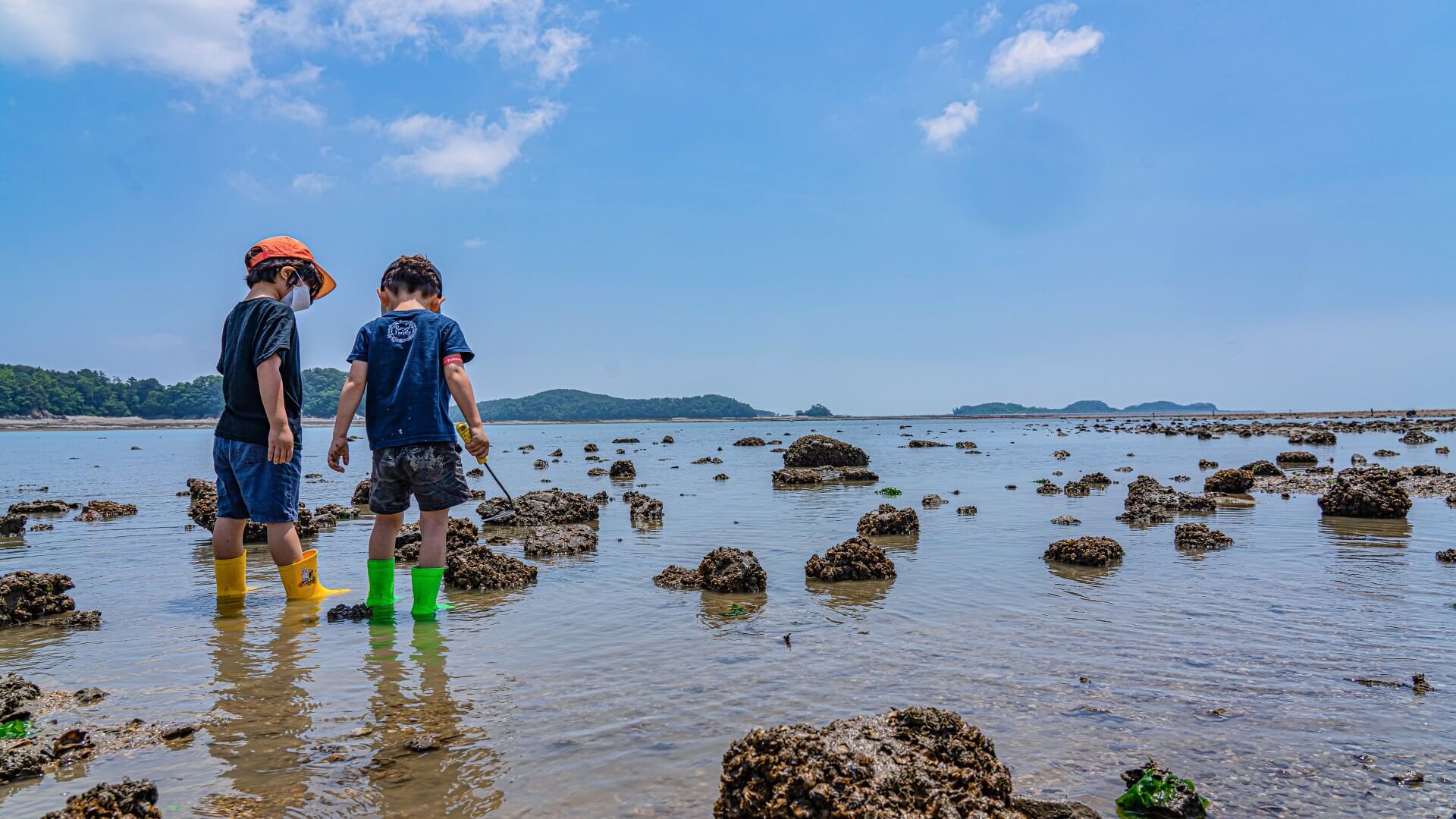 한국인의_밥상_촬영지_선재도_갯벌_체험