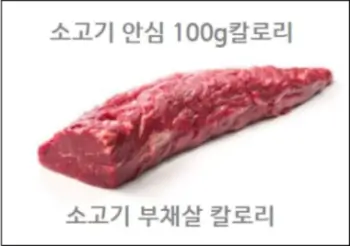 소고기 안심 100g칼로리 소고기 부채살 칼로리