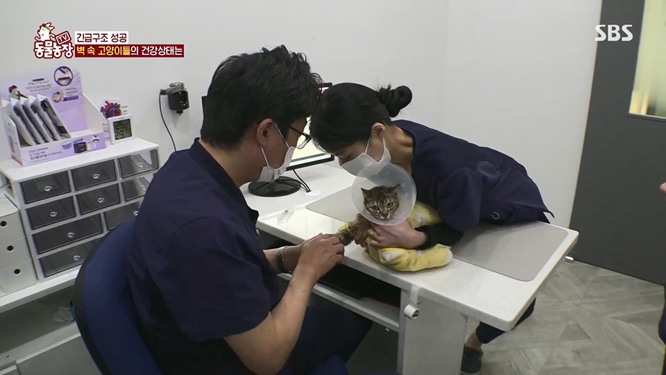 TV 동물농장.E1124.230611p.H264-F1RST.mp4_20230611_173548.709.jpg