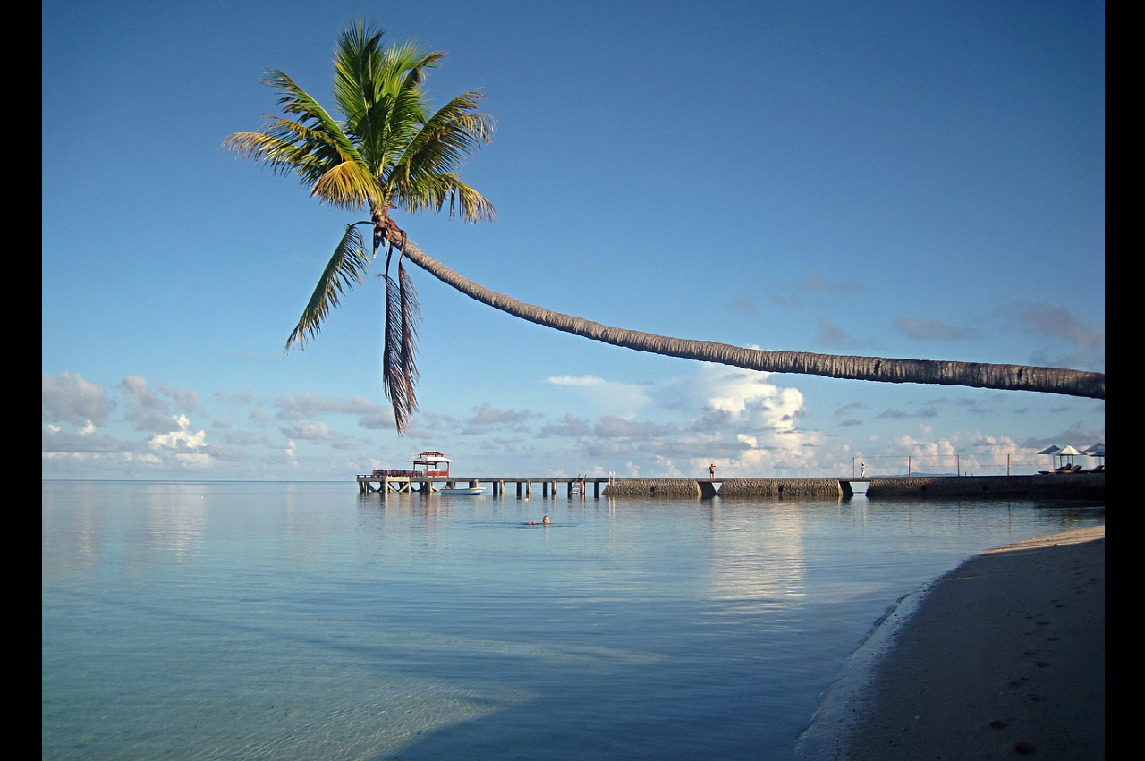 와카토비(wakatobi) 관련 사진