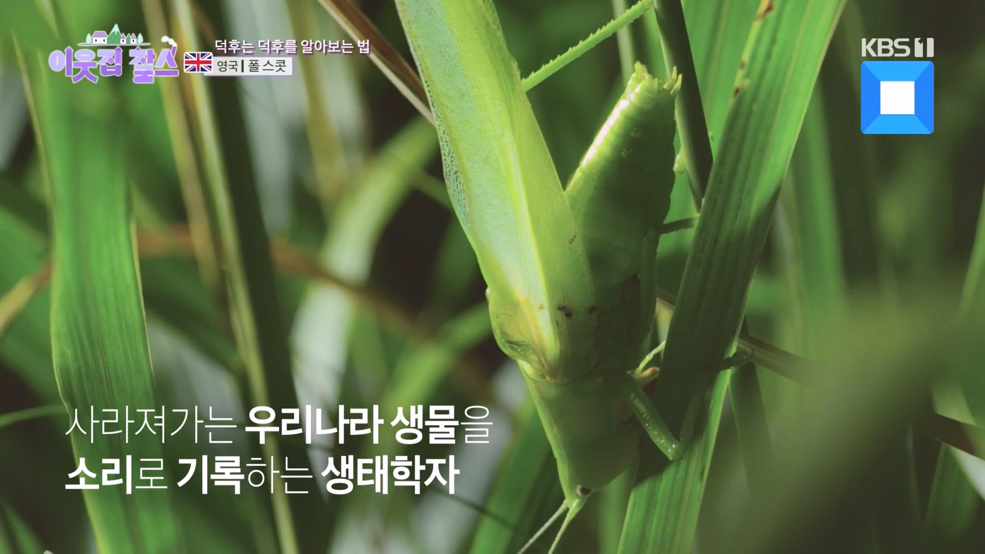 이웃집 찰스.E415.231212p.H264-F1RST.mp4_20231215_202405.644.jpg