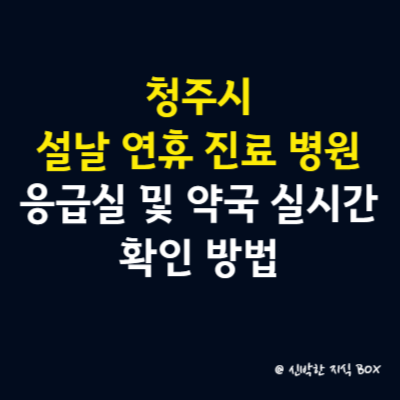 청주시 설날 연휴 공휴일 진료 병원 안내, 응급실 및 약국 실시간 확인 방법