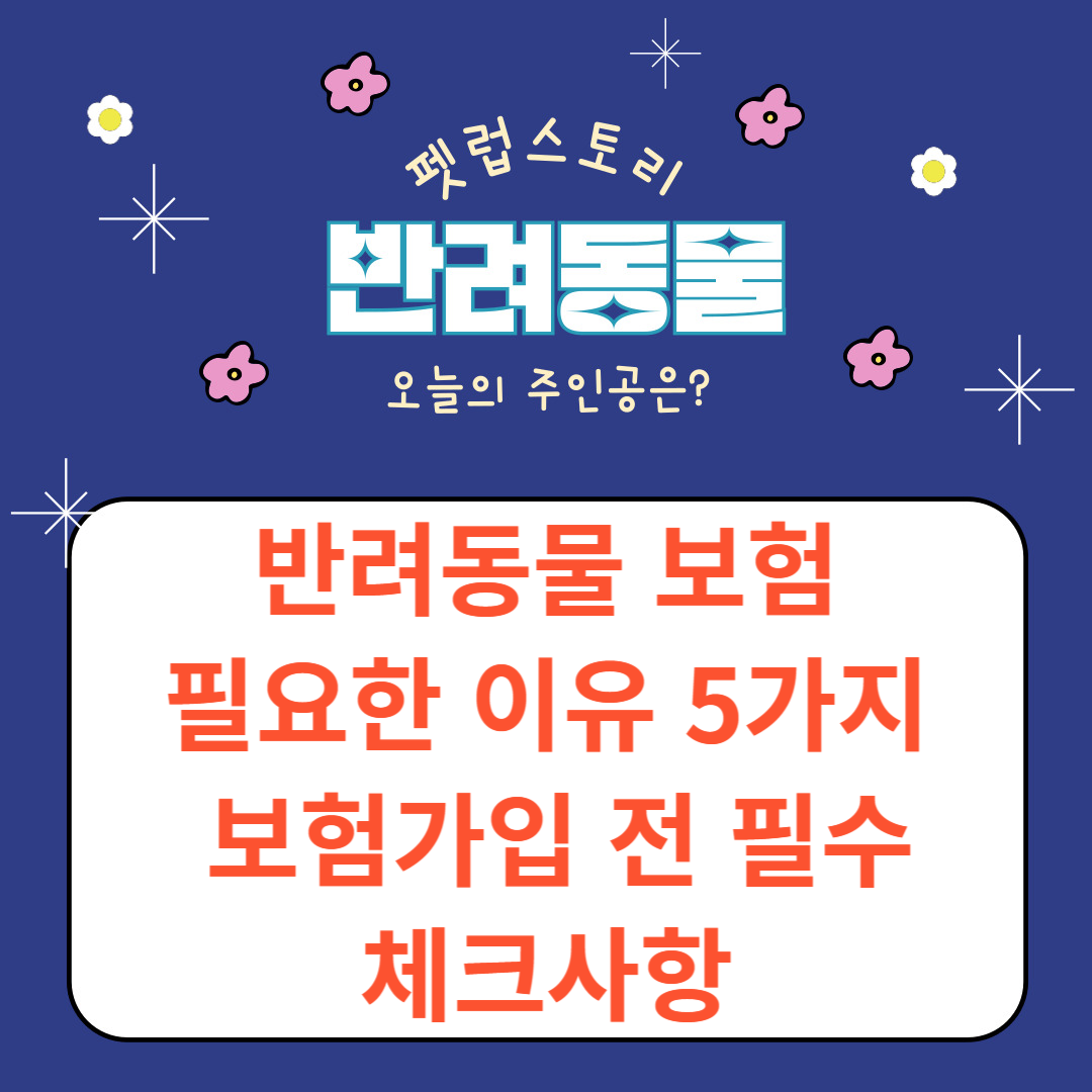 반려동물 보험, 필요한 이유 5가지와 보험가입 전 필수 체크사항