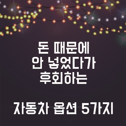  돈 때문에 고민하다가 안넣으면 후회하는 자동차 옵션 5가지!