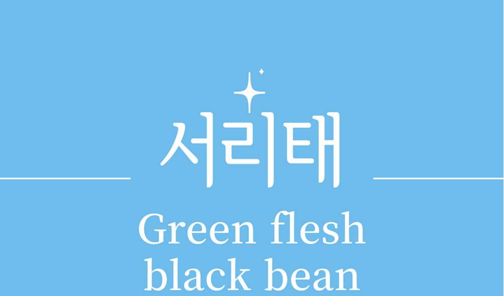 &#39;서리태(Green flesh black bean)&#39;