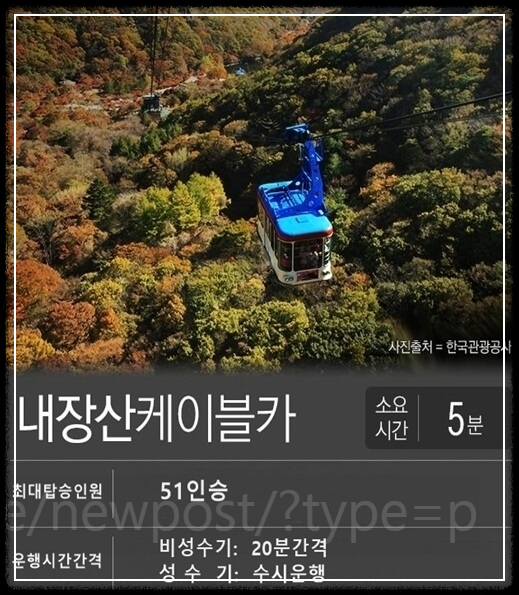 내장산 단풍 절정 시기