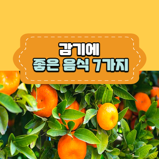  감기에 좋은 음식 7가지 ㅣ 감기 빨리 낫는 법