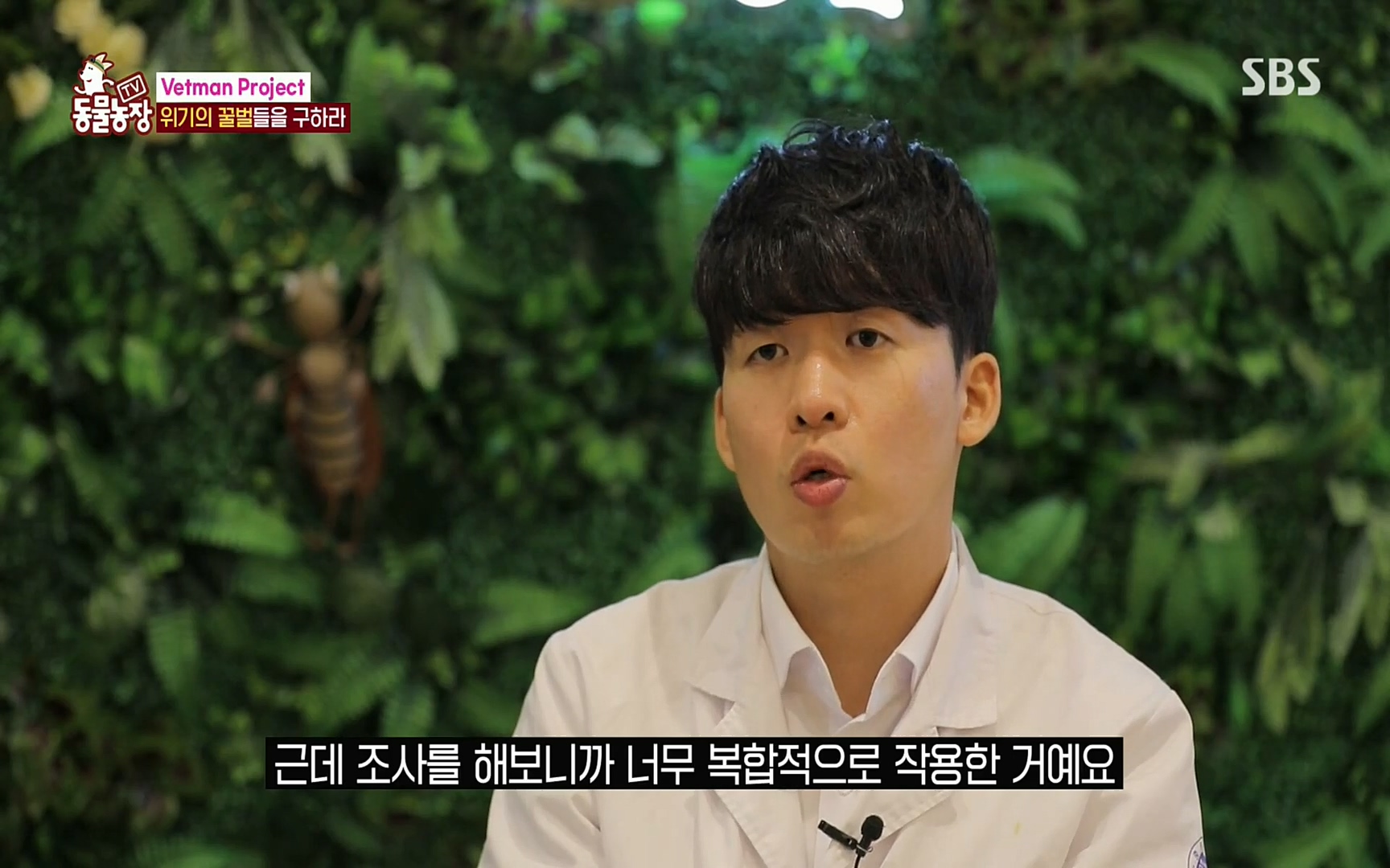TV 동물농장.E1072.220605p.H264-F1RST.mp4_20220605_181206.311.jpg