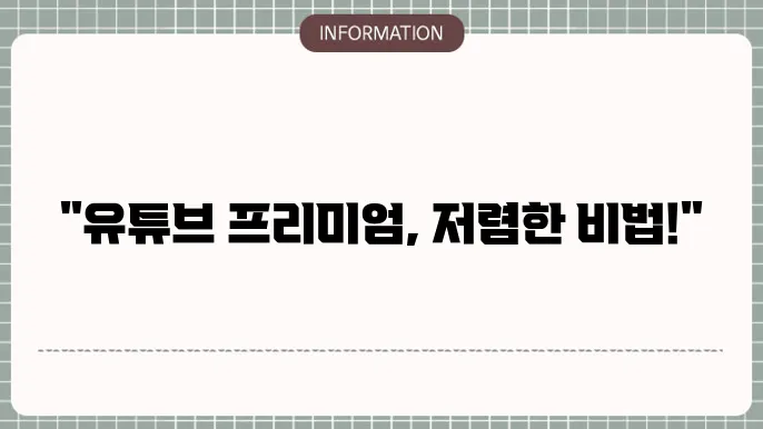 유튜브 프리미엄 요금 인도 월 4,000원대 가능할 이유