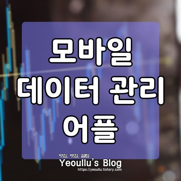  내 데이터 관리자 앱, 효율적으로 모바일 데이터 관리하는 방법