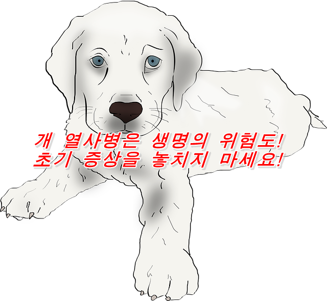  개 열사병은 생명의 위험도! 초기 증상을 놓치지 마세요!