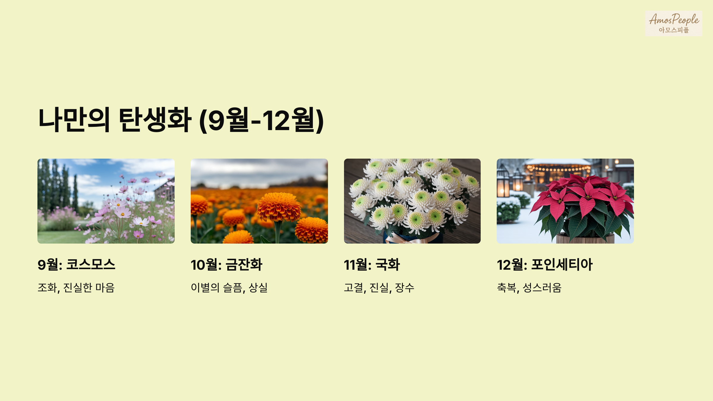 9월 ~ 12월 월 탄생화 꽃말 의미