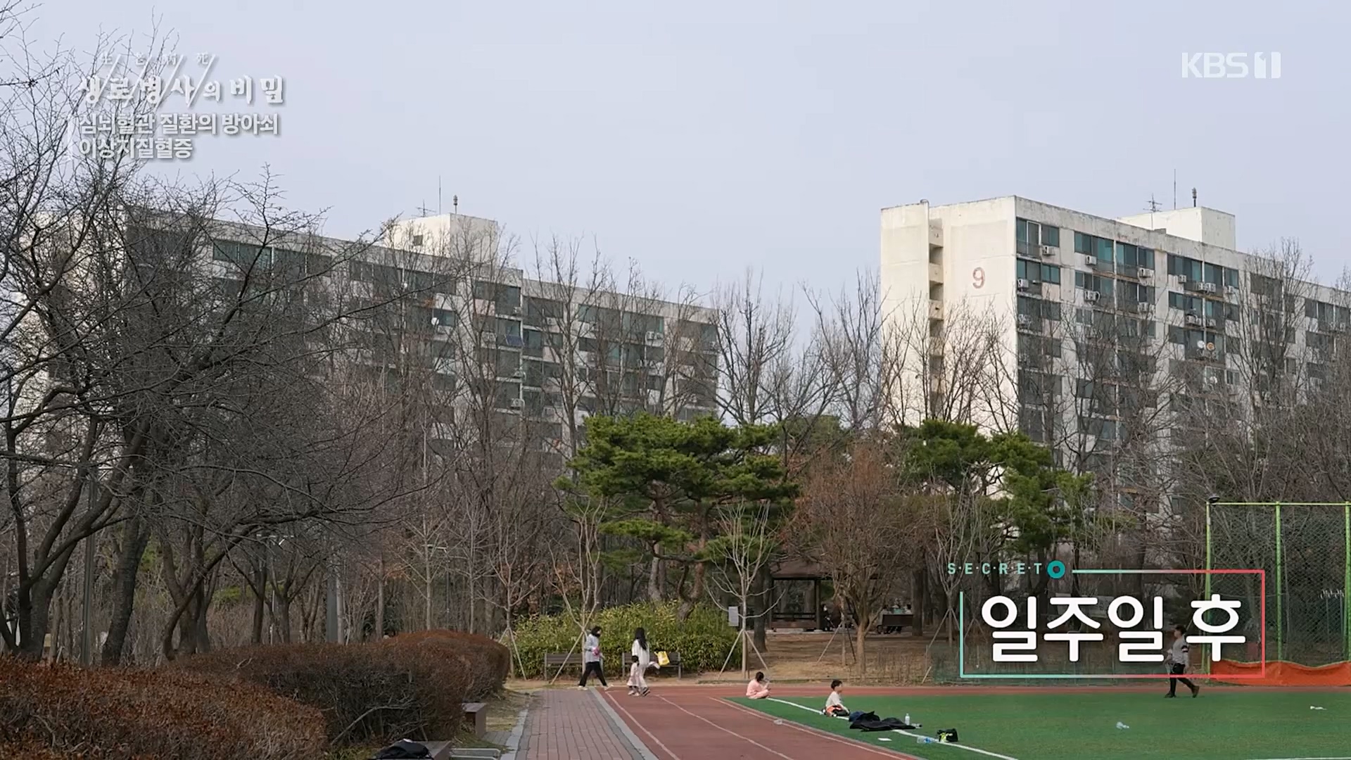 생로병사의 비밀.E862.230329p.H264-F1RST.mp4_20230330_203233.465.jpg