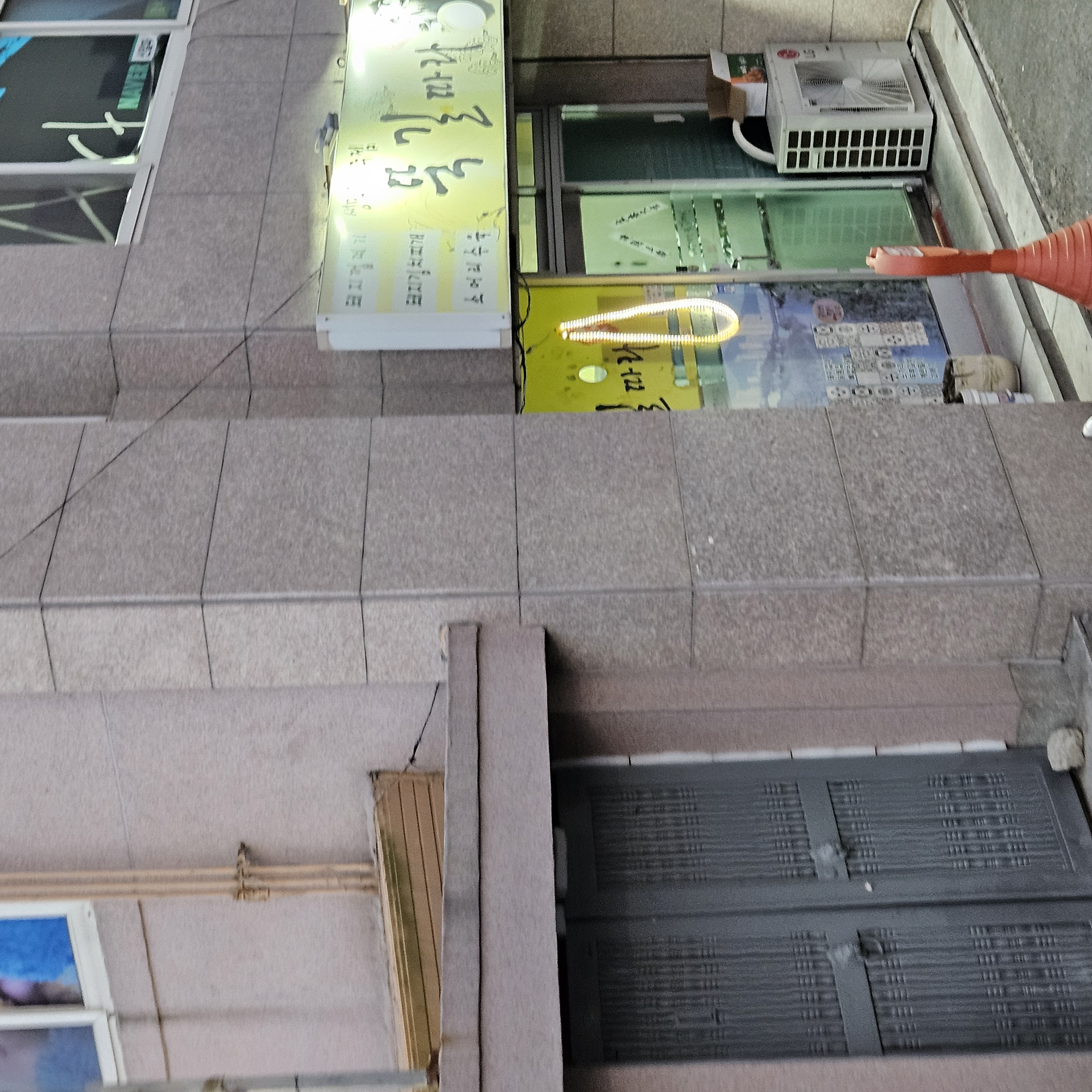 뚝길따라 사진 2
