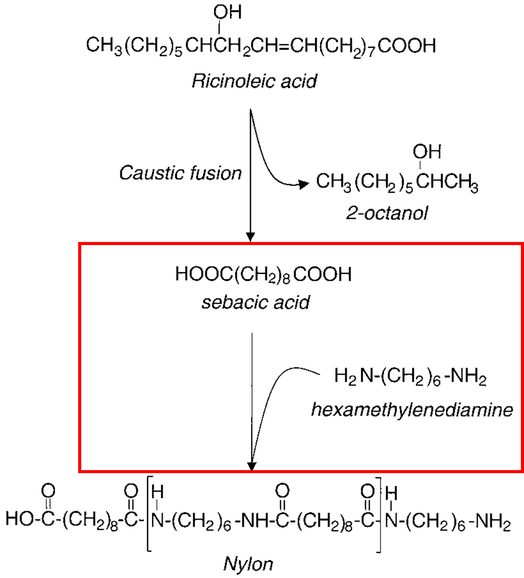ricinoleic acid로부터 나일론610을 생산하는 과정