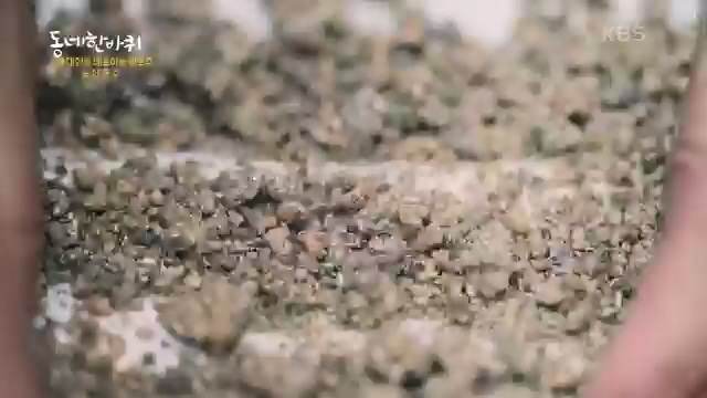 [229회] 동네 한 바퀴 - KBS229회] 동네 한 바퀴.ts_20230807_211853.036.jpg