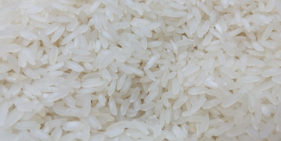 쌀벌레 없애는 법 - 13