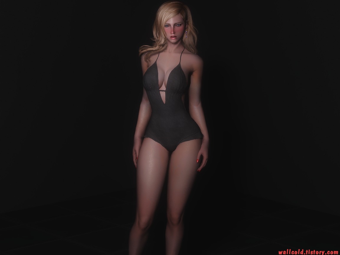 스카이림 의상 - 수영복 의상 bb all onepiece clothes skyrim mod 002
