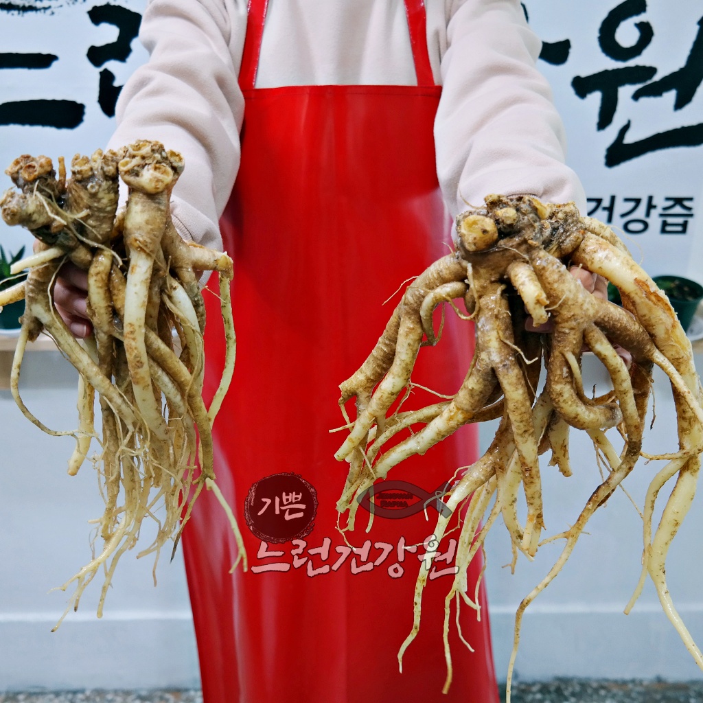 기쁜느런건강원에서 사용하는 약 도라지