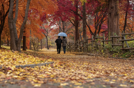 고창에서 가장 조용한 길, 상하농원 밖 마을 산책기