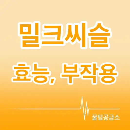 밀크씨슬 효능 부작용 로고