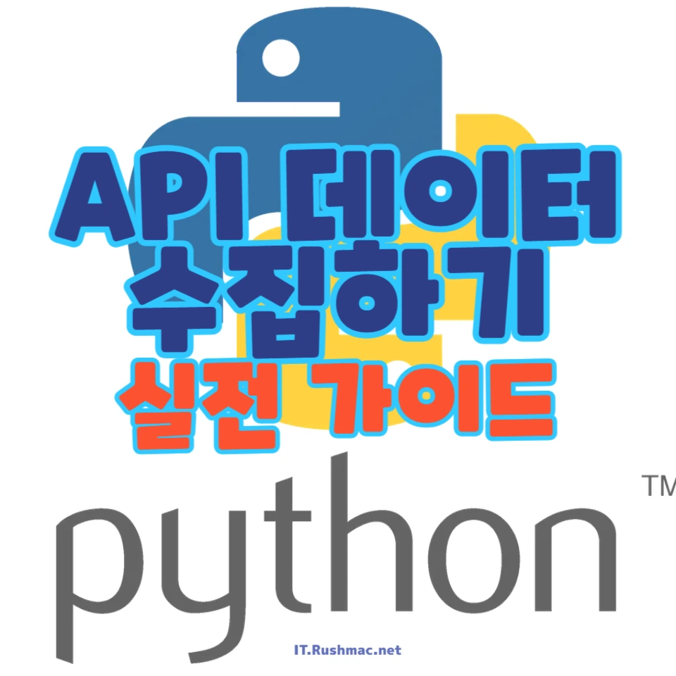 Python으로 API 데이터 수집하기