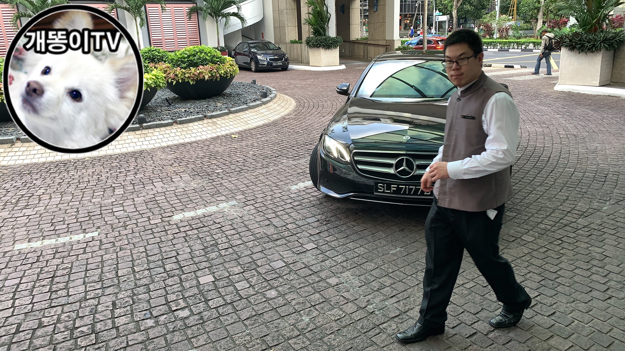  씨티프레스티지 카드 리무진 서비스 Citi Prestige Airport Transfer Service | JetQuay | 2020년 1월