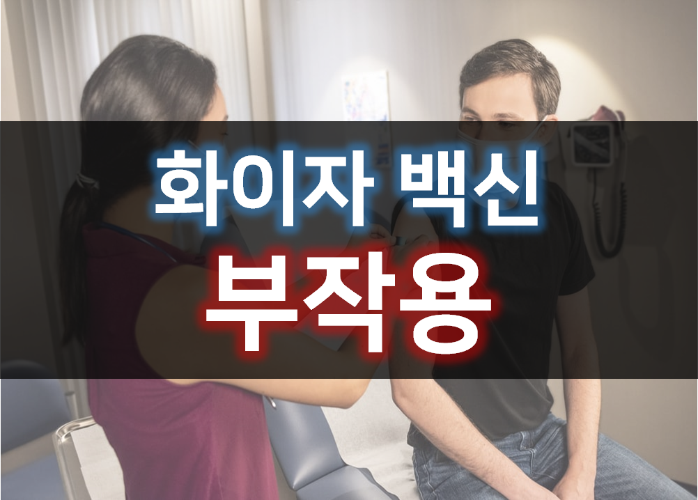 화이자 백신 부작용 총정리
