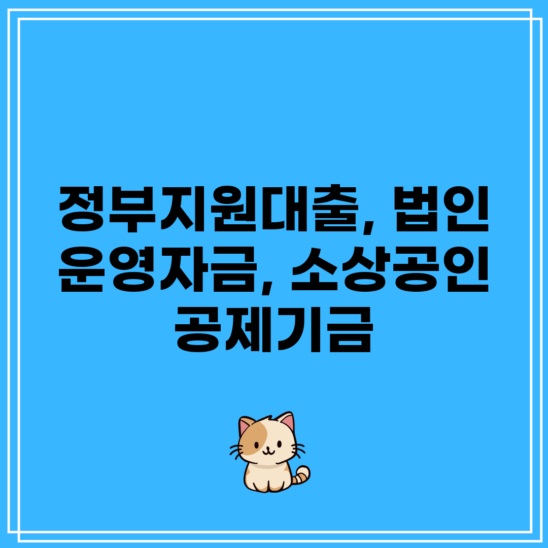 정부지원대출, 법인 운영자금, 소상공인 공제기금