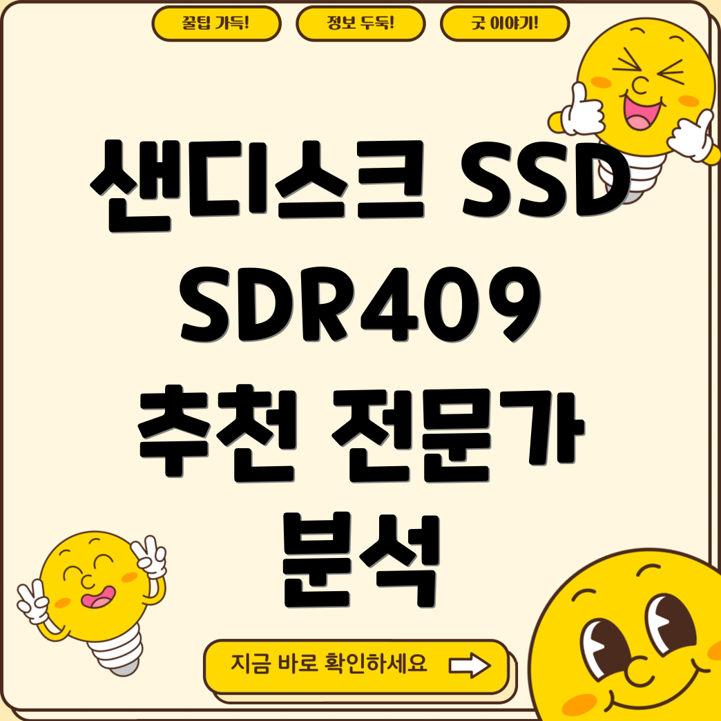 샌디스크SSDSDR409전문가가뽑은최고의선택5가지비교분석