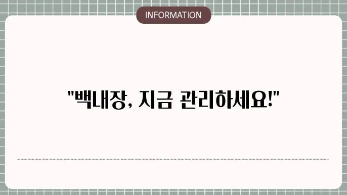 백내장 관리: 