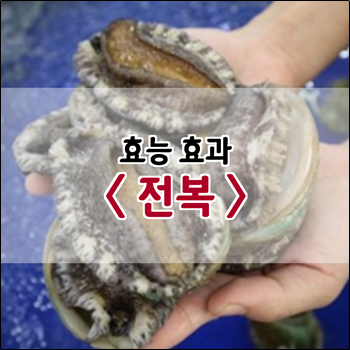  전복 효능 효과에 대해 알아봅시다.
