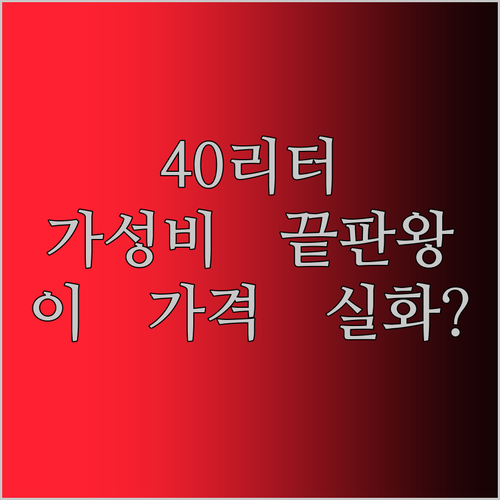 가성비 끝판왕! 40리터 대용량 전자