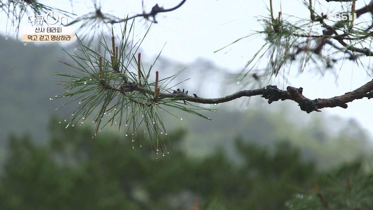 다큐 온.E257.240714p-NEXT.mp4_20240714_165342.073.jpg