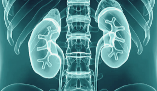 신장 기능이 좋지 않은 증상입니다.