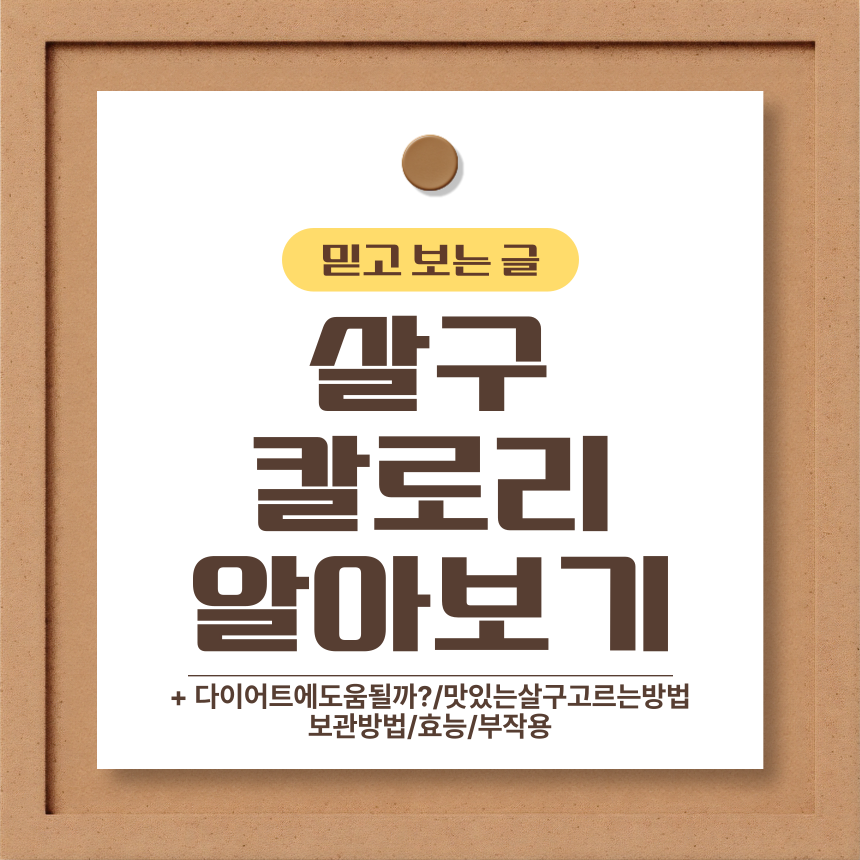  살구 칼로리 알아보기