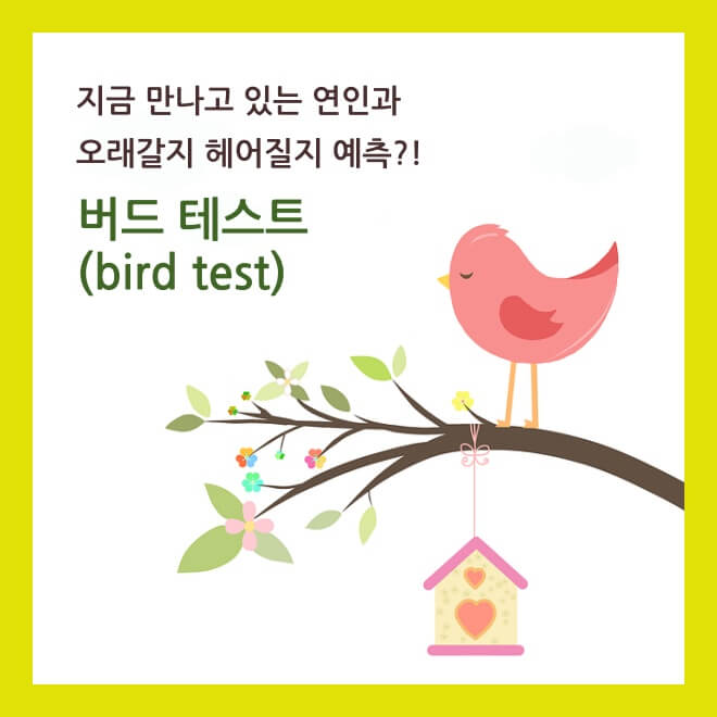 [연애테스트] 커플이 오래갈지 헤어질지 예측, 버드 테스트(bird test)