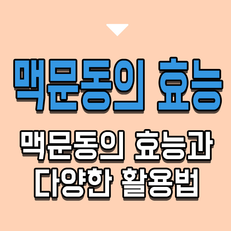 타이틀-맥문동의-효능과-다양한 활용법