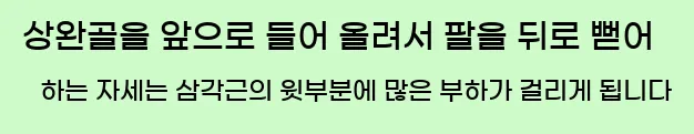   상완골을 앞으로 들어 올려서 팔을 뒤로 뻗어 하는 자세는 삼각근의 윗부분에 많은 부하가 걸리게 됩니다.