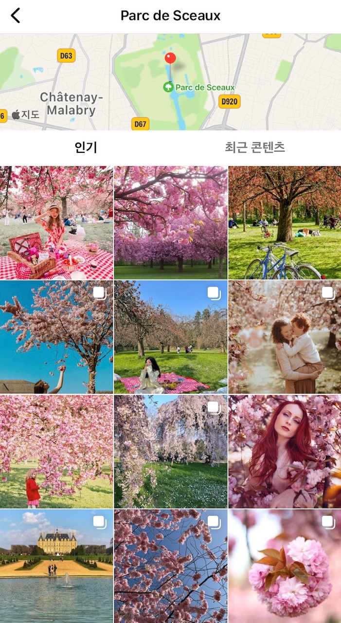 인스타에서-찾아볼수-있는-쏘공원-벚꽃사진