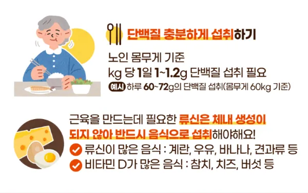 단백질 많은 음식