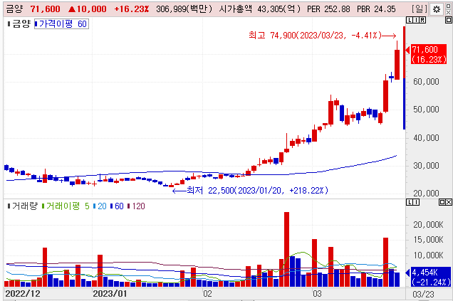 금양주 주가 추이