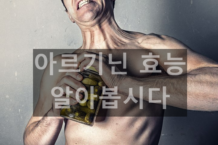 아르기닌 효능