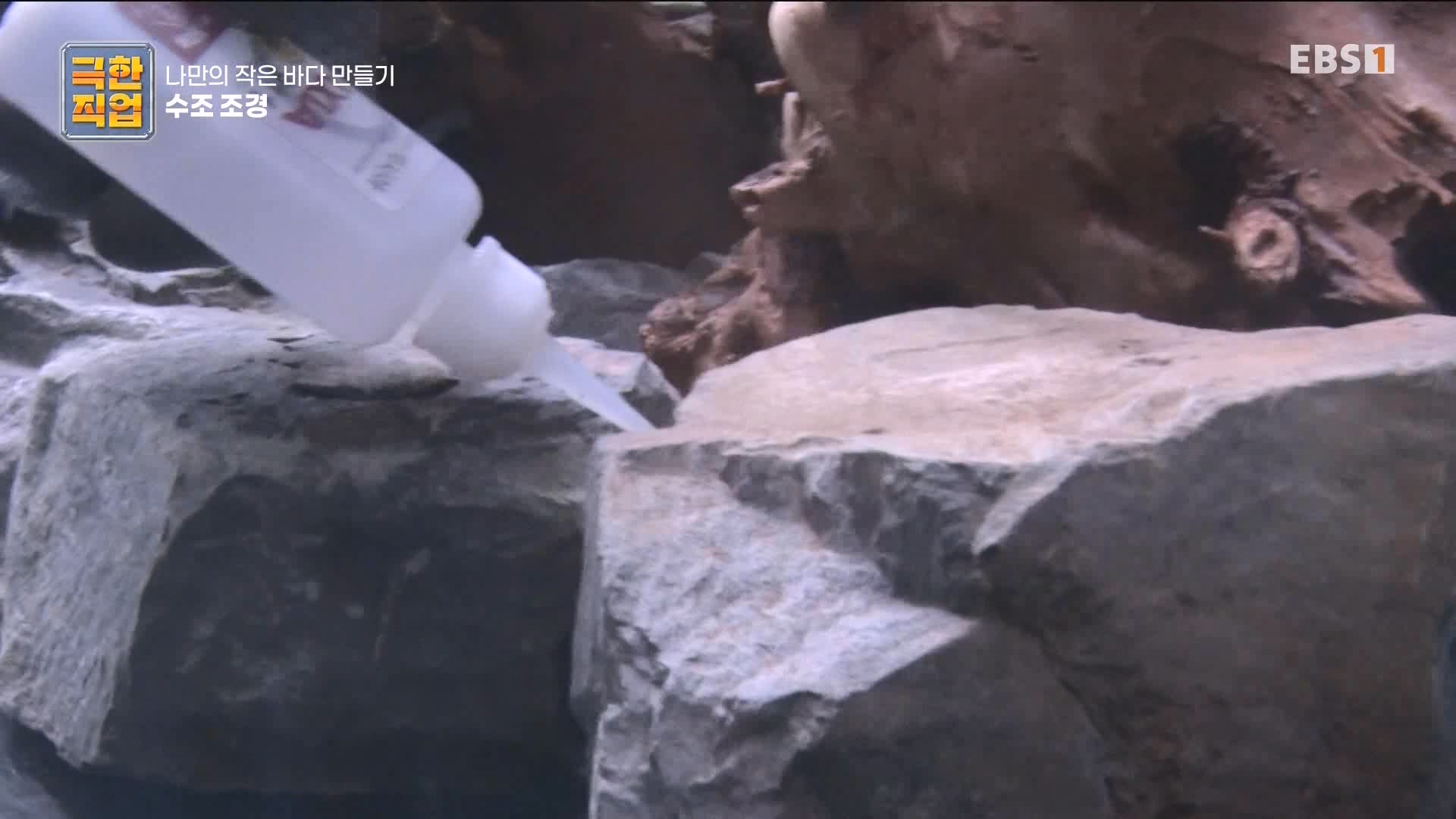 [극한 직업] 수조 조경.mp4_20230822_204226.273.jpg