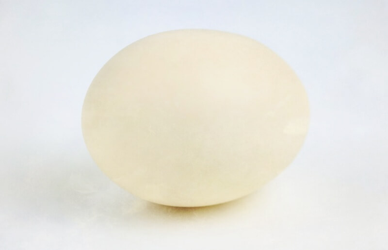 흰색달걀-한개